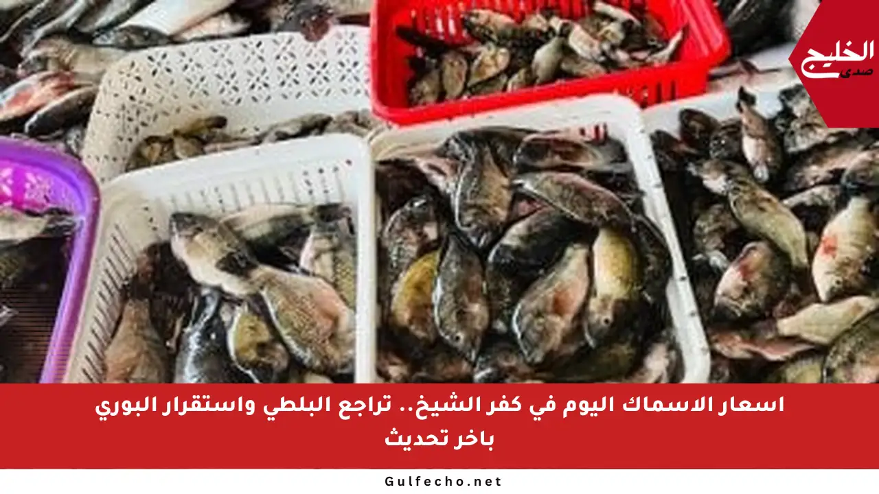 أسعار الأسماك اليوم في كفر الشيخ.. تراجع البلطي واستقرار البوري بآخر تحديث